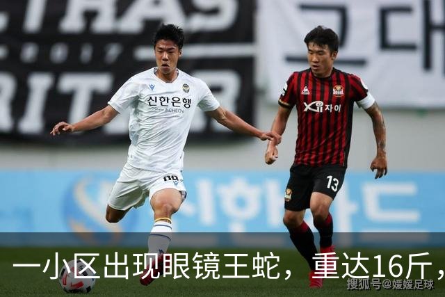 一小区出现眼镜王蛇，重达16斤，就在居民窗外游走，消防：是世界上体型最大的前沟牙毒蛇