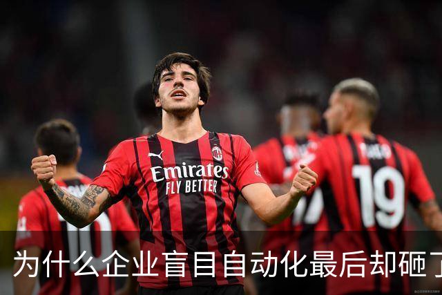 为什么企业盲目自动化最后却砸了自己的脚？