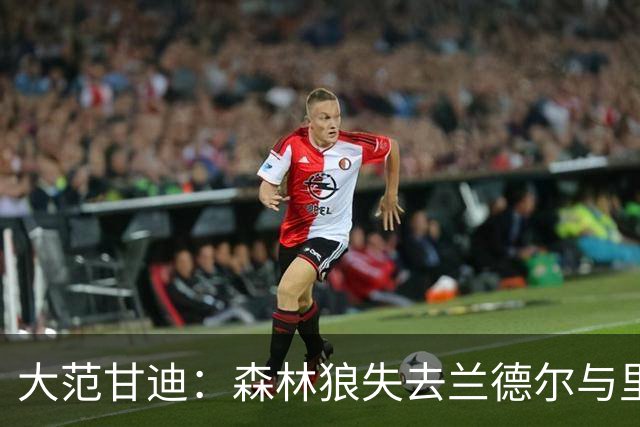 大范甘迪：森林狼失去兰德尔与里德实力骤降 最多排西部第六