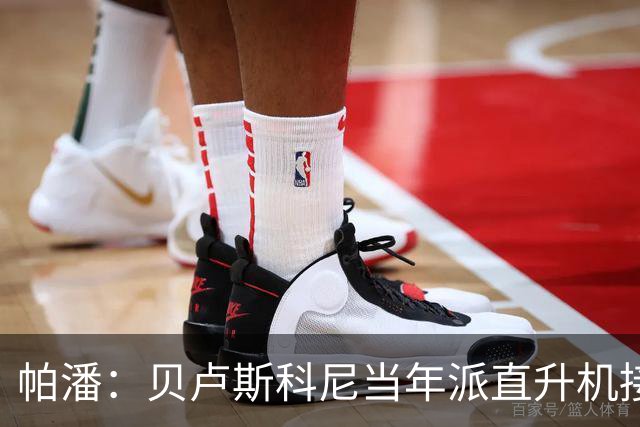 帕潘：贝卢斯科尼当年派直升机接我去米兰