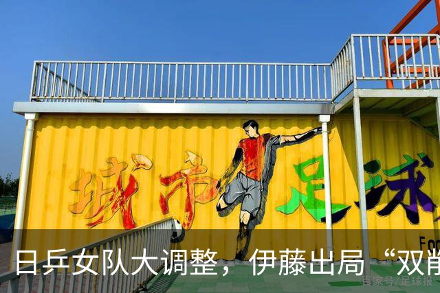 日乒女队大调整，伊藤出局“双削”入选，削球难题马琳避无可避