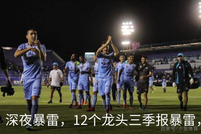 深夜暴雷，12个龙头三季报暴雷，龙头暴降738%，只有8个加速增长
