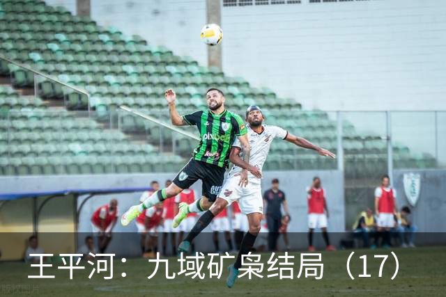 王平河：九域矿枭结局（1/7）