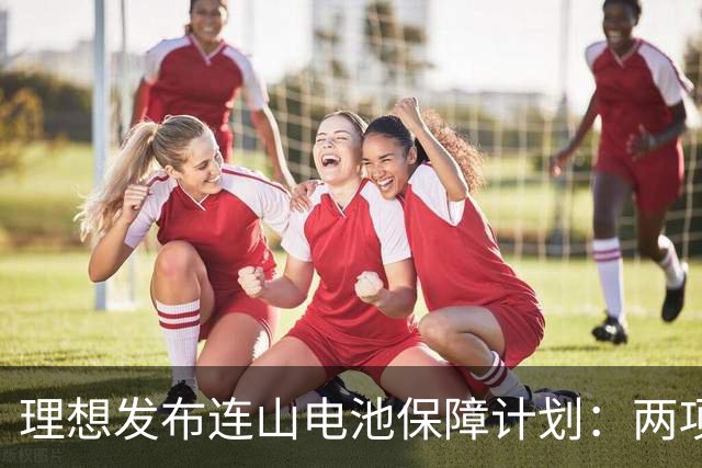 理想发布连山电池保障计划：两项终身保障，电池不自燃碰撞不起火