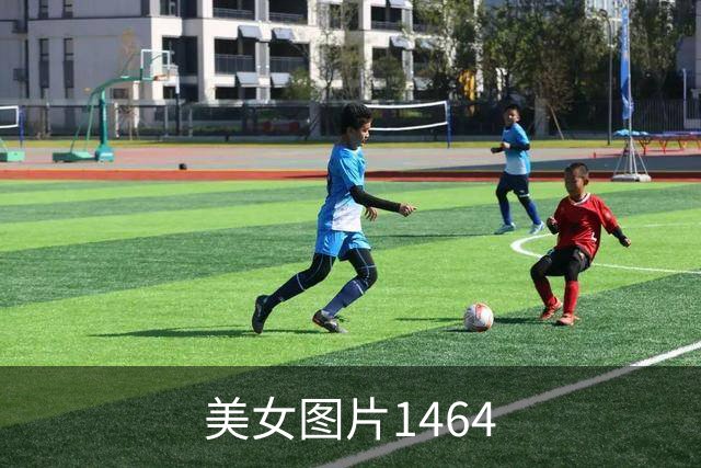 美女图片1464