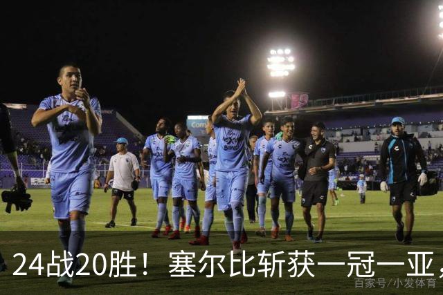 24战20胜！塞尔比斩获一冠一亚，逆转王赛季排名赛胜率高居世界第一